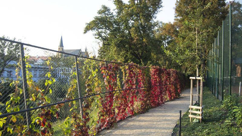 Zahradní cesta Ztracenka